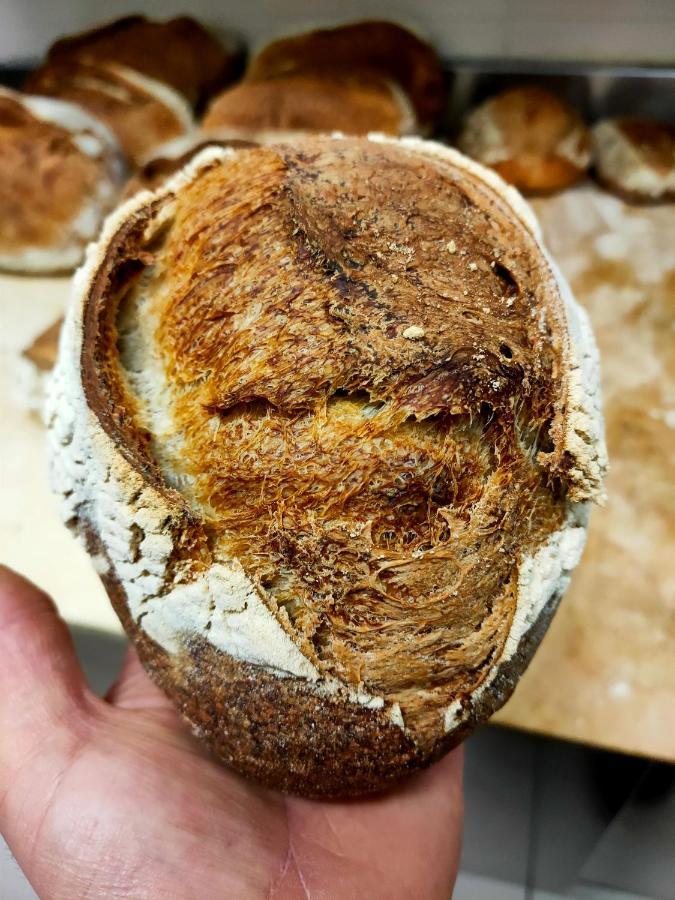 Paneolio B&B Poggio Picenze 外观 照片